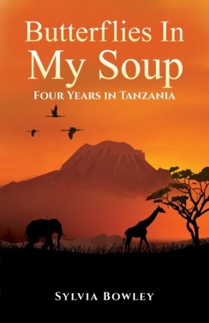 Butterflies in My Soup - Four Years in Tanzania