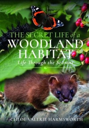 Secret Life of a Woodland Habitat - Life Through the Seasons