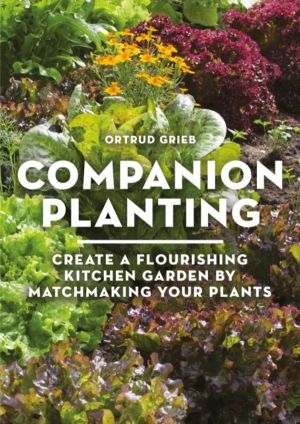 Companion Planting - Create a Flourishing Kitchen Garden By Matchmaking You