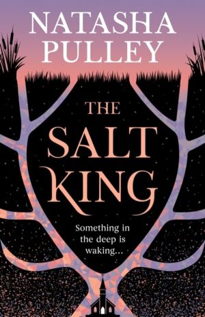 Salt King - An end of the world thriller, packed with dazzling wit and roma