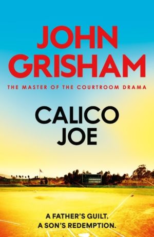 Calico Joe - The unforgettable family drama from the number 1 Sunday Times