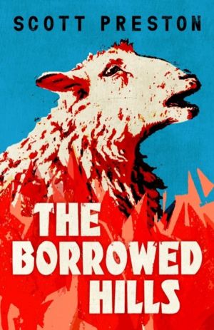 Borrowed Hills - 'A sucker-punch of a novel' Guardian