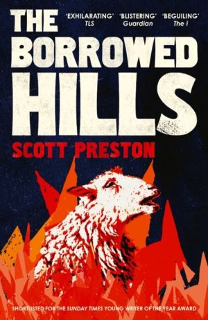 Borrowed Hills - 'A sucker-punch of a novel' Guardian