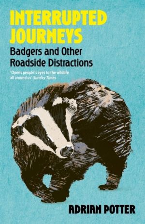Interrupted Journeys - Badgers and Other Roadside Distractions