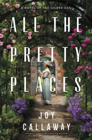 All the Pretty Places - A Novel of the Gilded Age