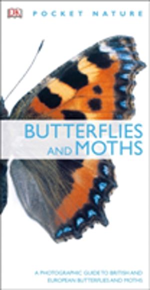Butterflies and Moths - A Photographic Guide to British and European Butter
