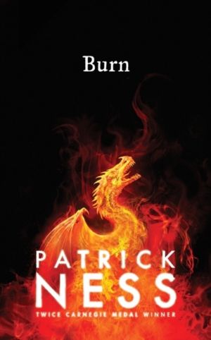 Burn - A highly original, page-turning YA fantasy featuring prejudice, reve