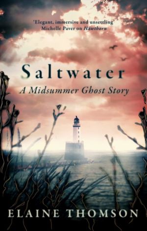 Saltwater - A midsummer ghost story