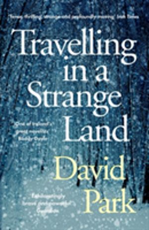 Travelling in a Strange Land - Winner of the Kerry Group Irish Novel of the
