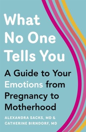 What No One Tells You - A Guide to Your Emotions from Pregnancy to Motherho