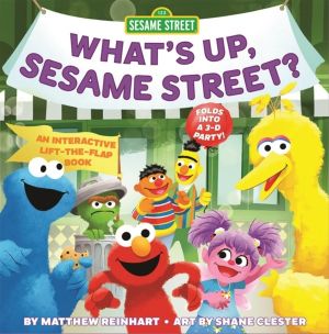 WhatÔÇÖs Up, Sesame Street? (A Pop Magic Book) - Folds into a 3-D Party!