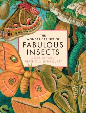 Wonder Cabinet of Fabulous Insects - Secrets of the WorldÔÇÖs Rarest and St