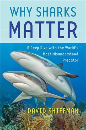 Why Sharks Matter - A Deep Dive with the World's Most Misunderstood Predato
