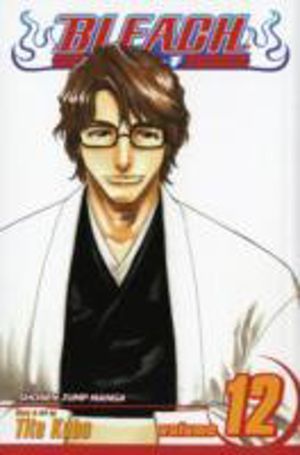 Bleach, Vol. 12