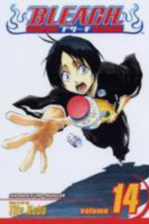 Bleach, Vol. 14