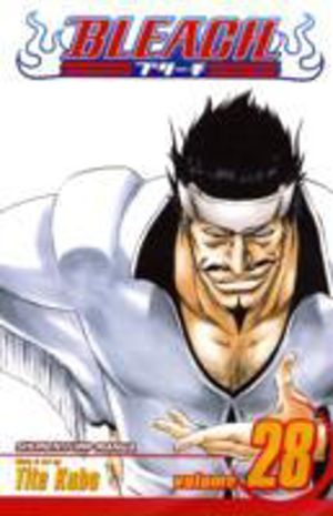 Bleach, Vol. 28