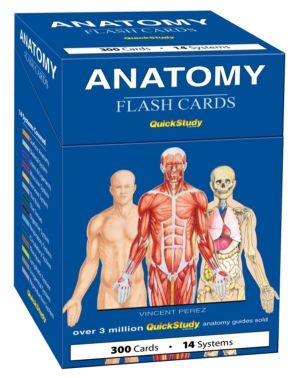 Anatomy Flash Cards (300 Cards)