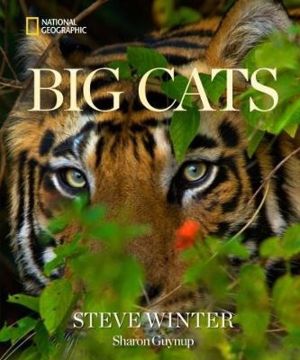 Big Cats