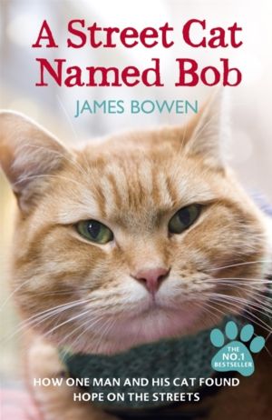 Street Cat Named Bob - How one man and his cat found hope on the streets