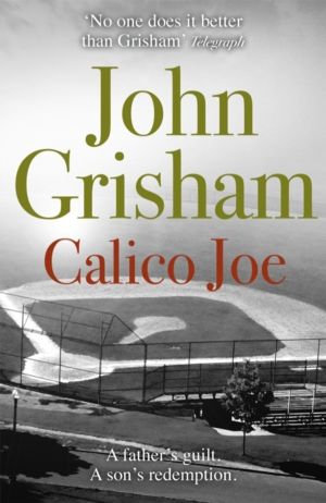 Calico Joe - The unforgettable family drama from the number 1 Sunday Times