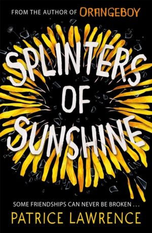 Splinters of Sunshine - a YA road-trip mystery from the multi-award-winning
