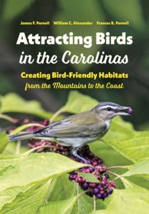 Attracting Birds in the Carolinas - Creating Bird-Friendly Habitats from th