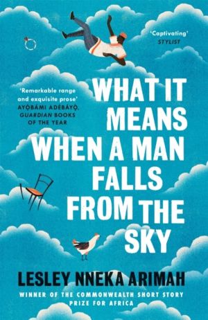 What It Means When A Man Falls From The Sky - From the Winner of the Caine
