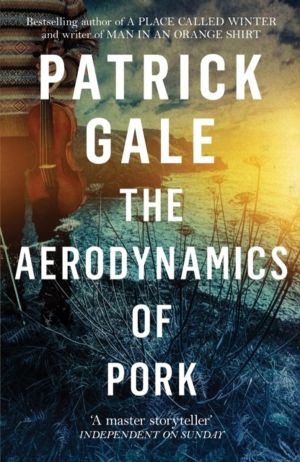Aerodynamics of Pork - A delicious debut novel of love, music and comedy, s