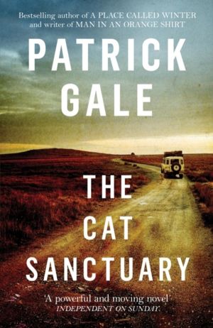 Cat Sanctuary - An intriguing novel of sisters, childhood and the complexit