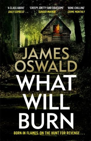What Will Burn - A TENSE AND INCENDIARY INSPECTOR McLEAN THRILLER FROM THE