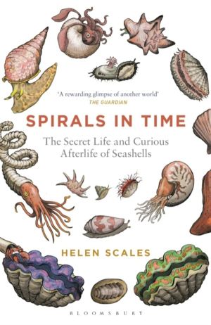 Spirals in Time - The Secret Life and Curious Afterlife of Seashells