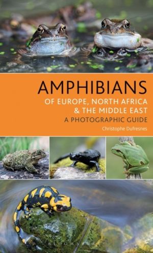 Amphibians of Europe, North Africa and the Middle East - A Photographic Gui