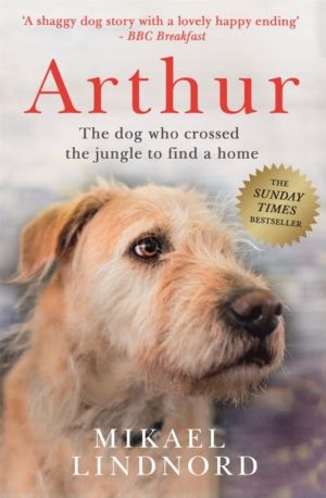 Arthur the King - The dog who crossed the jungle to find a home *WATCH NOW