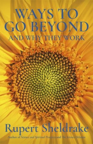 Ways to Go Beyond and Why They Work - Seven Spiritual Practices in a Scient