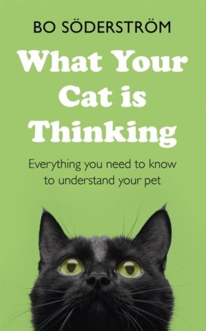 What Your Cat Is Thinking - Everything you need to know to understand your