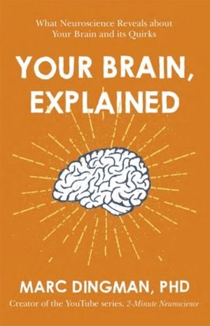 Your Brain, Explained - What Neuroscience Reveals about Your Brain and its