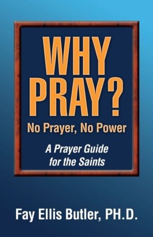 Why Pray? No Prayer, No Power - A Prayer Guide for the Saints