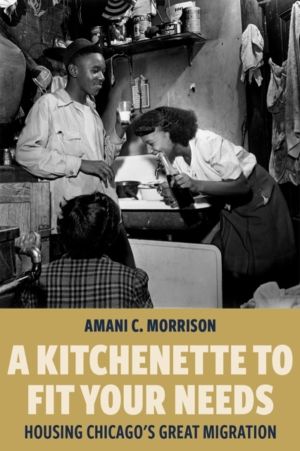 Kitchenette to Fit Your Needs - Housing Chicago's Great Migration