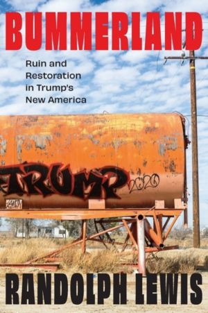 Bummerland - Ruin and Restoration in Trump's New America