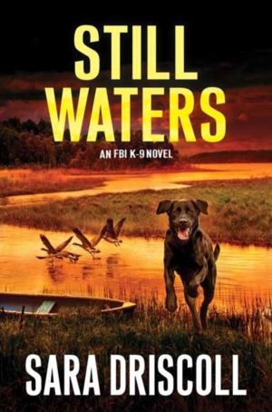 Still Waters - A Riveting Novel of Suspense