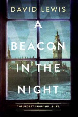 Beacon in the Night