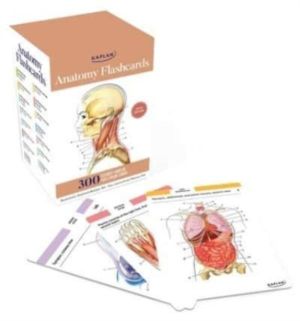 Anatomy Flashcards: 300 Flashcards with Anatomically Precise Drawings and E