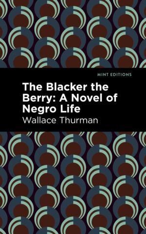 Blacker the Berry - A Novel of Negro Life