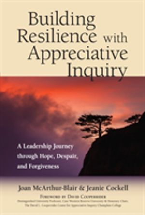 Building Resilience with Appreciative Inquiry - A Leadership Journey throug