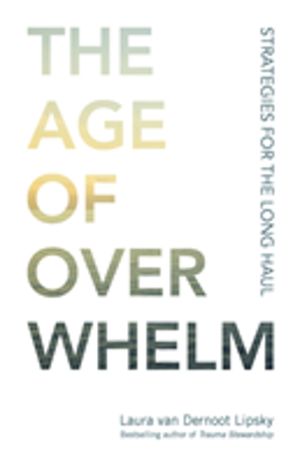 Age of Overwhelm - Strategies for the Long Haul