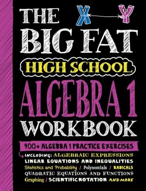 Big Fat High School Algebra 1 Workbook - 400+ Algebra 1 Practice Exercises
