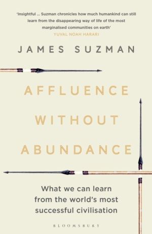 Affluence Without Abundance - What We Can Learn from the World's Most Succe