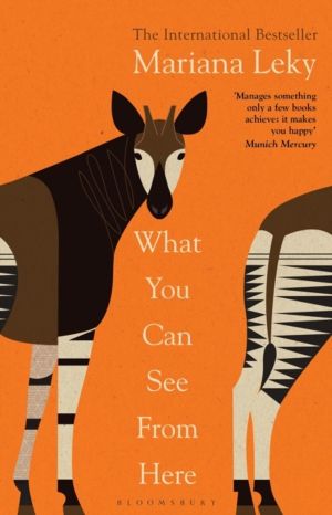 What You Can See From Here - 'A clear-eyed tonic in troubled times' (Guardi