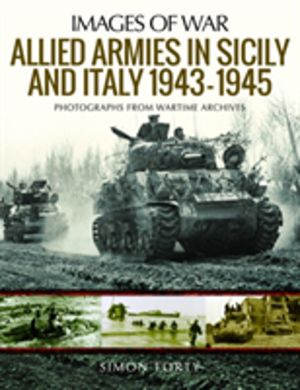 Allied Armies in Sicily and Italy, 1943-1945 - Photographs from Wartime Arc