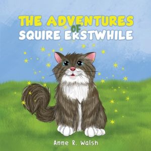 Adventures of Squire Erstwhile